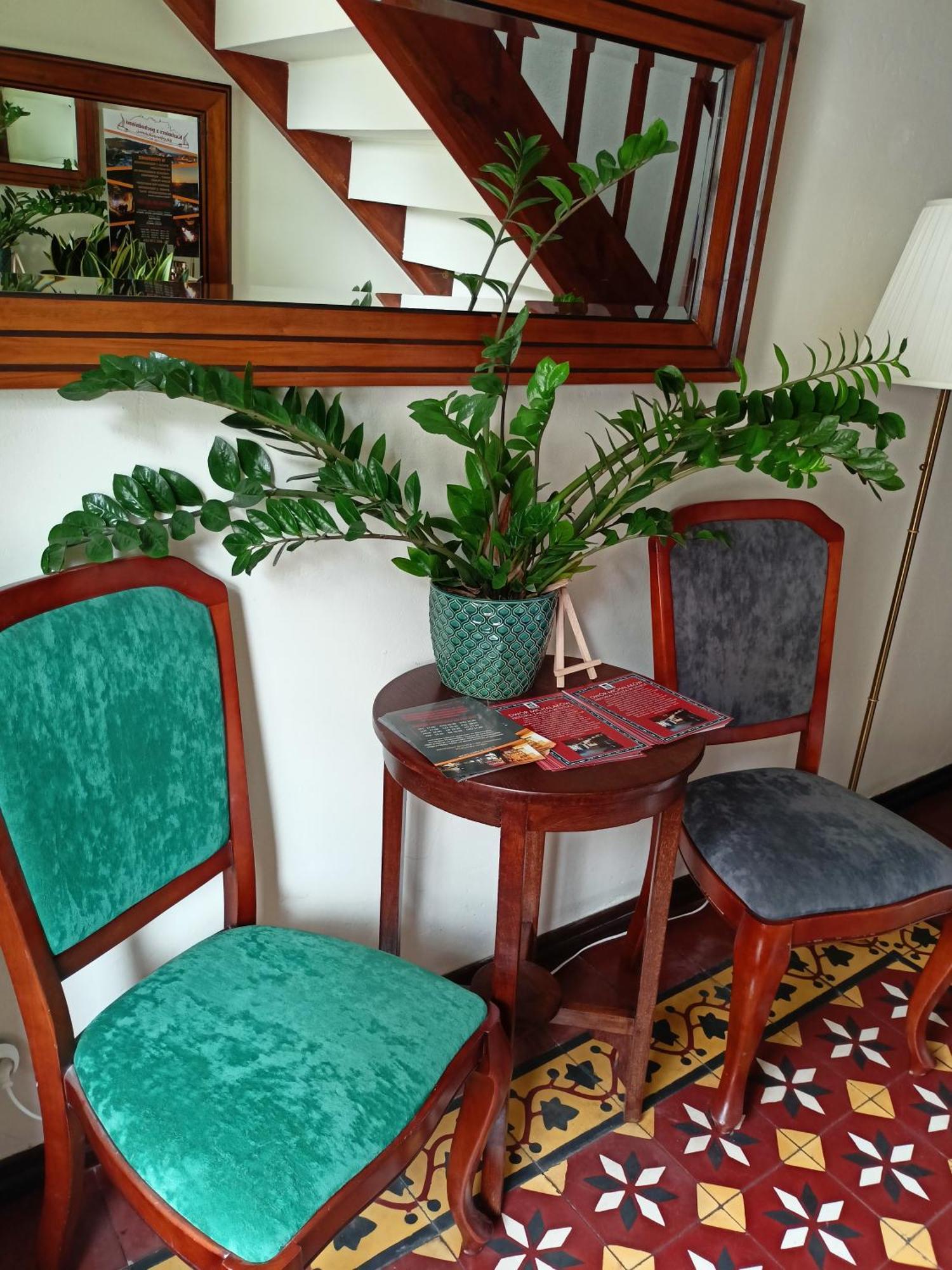 Bed and Breakfast Agharta Казімеж-Дольний Екстер'єр фото
